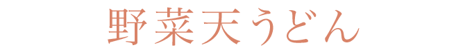 野菜天うどん