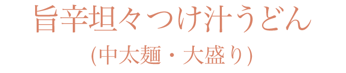 旨辛坦々つけ汁うどん