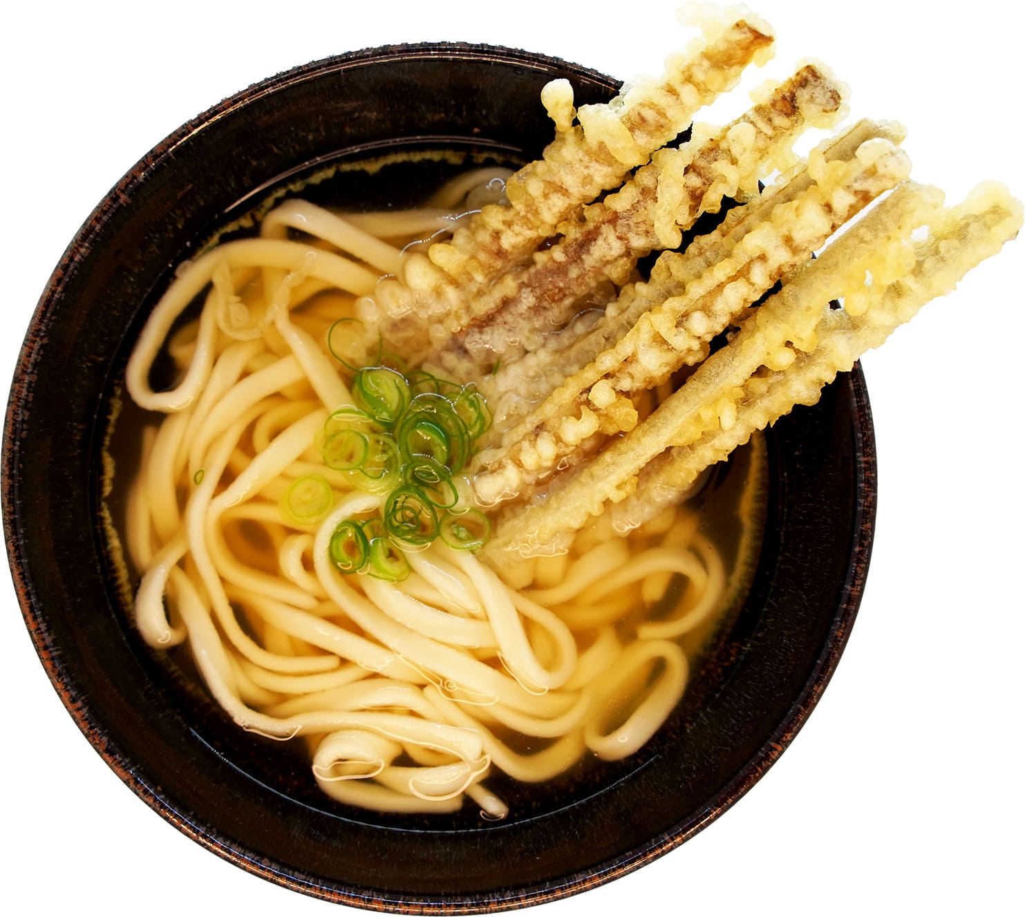 ごぼう天うどん  (温)